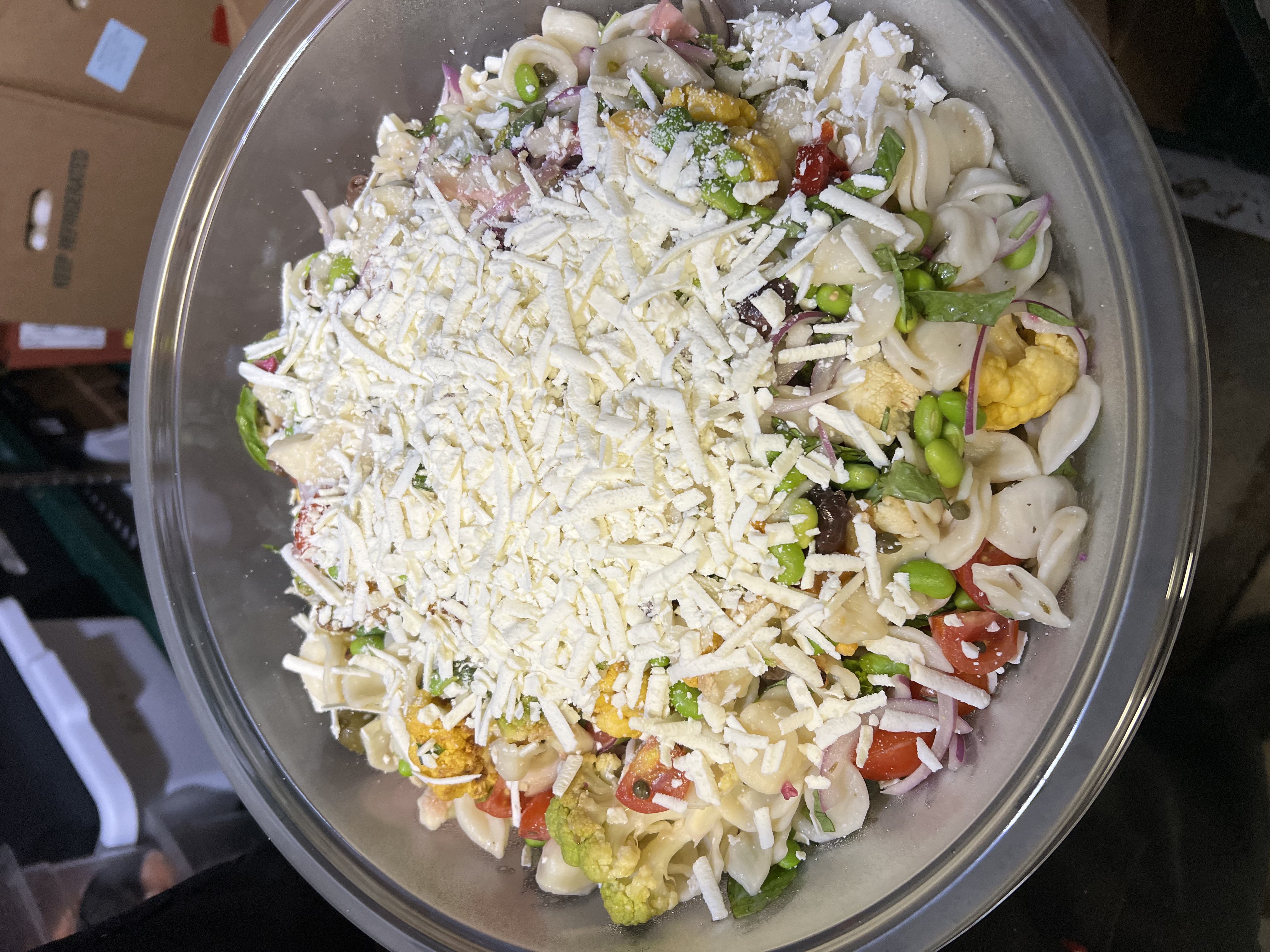 Orecchiette Pasta Salad