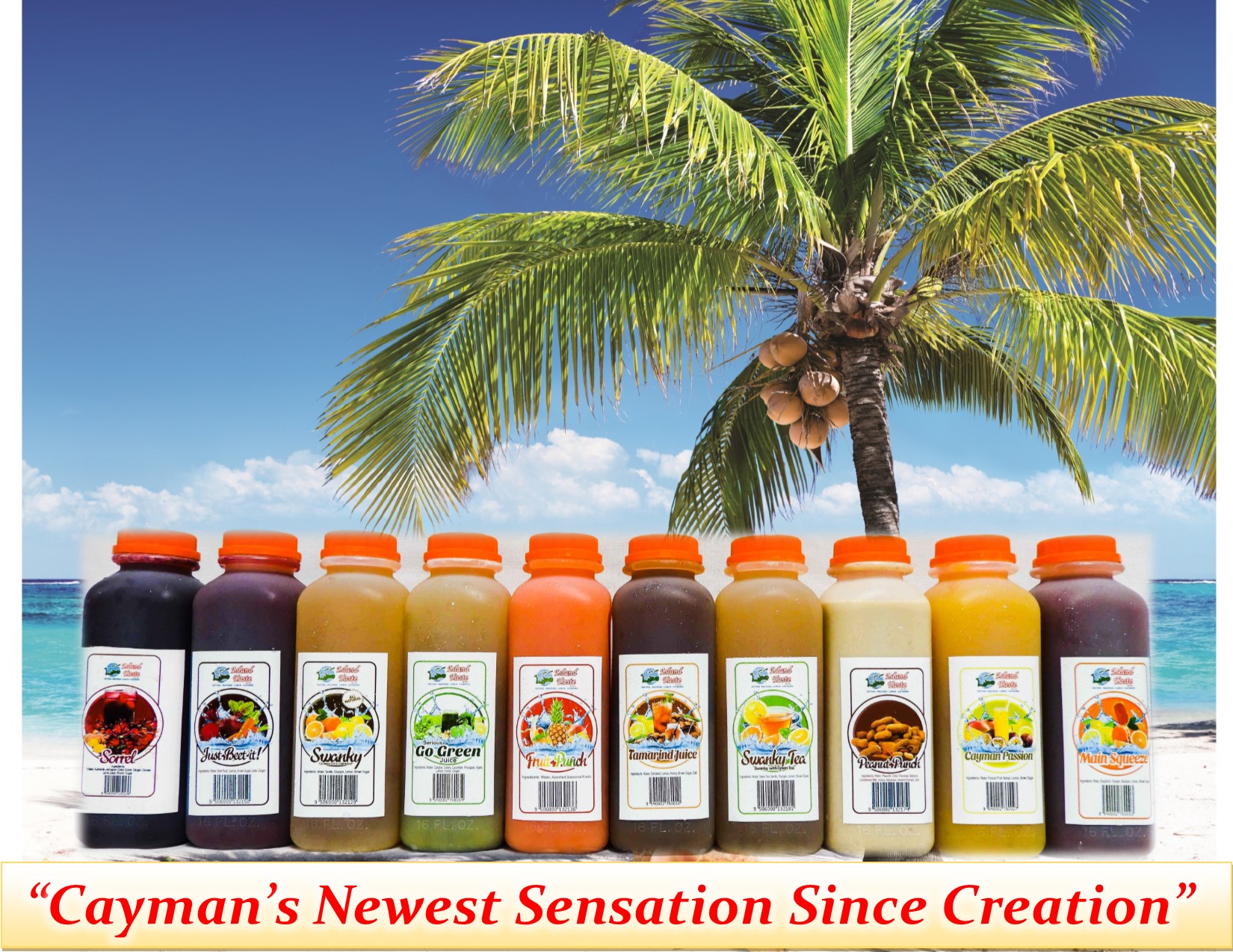 Beverage Options NEW