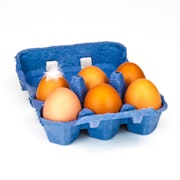 Welsh Free Range Eggs box of 6