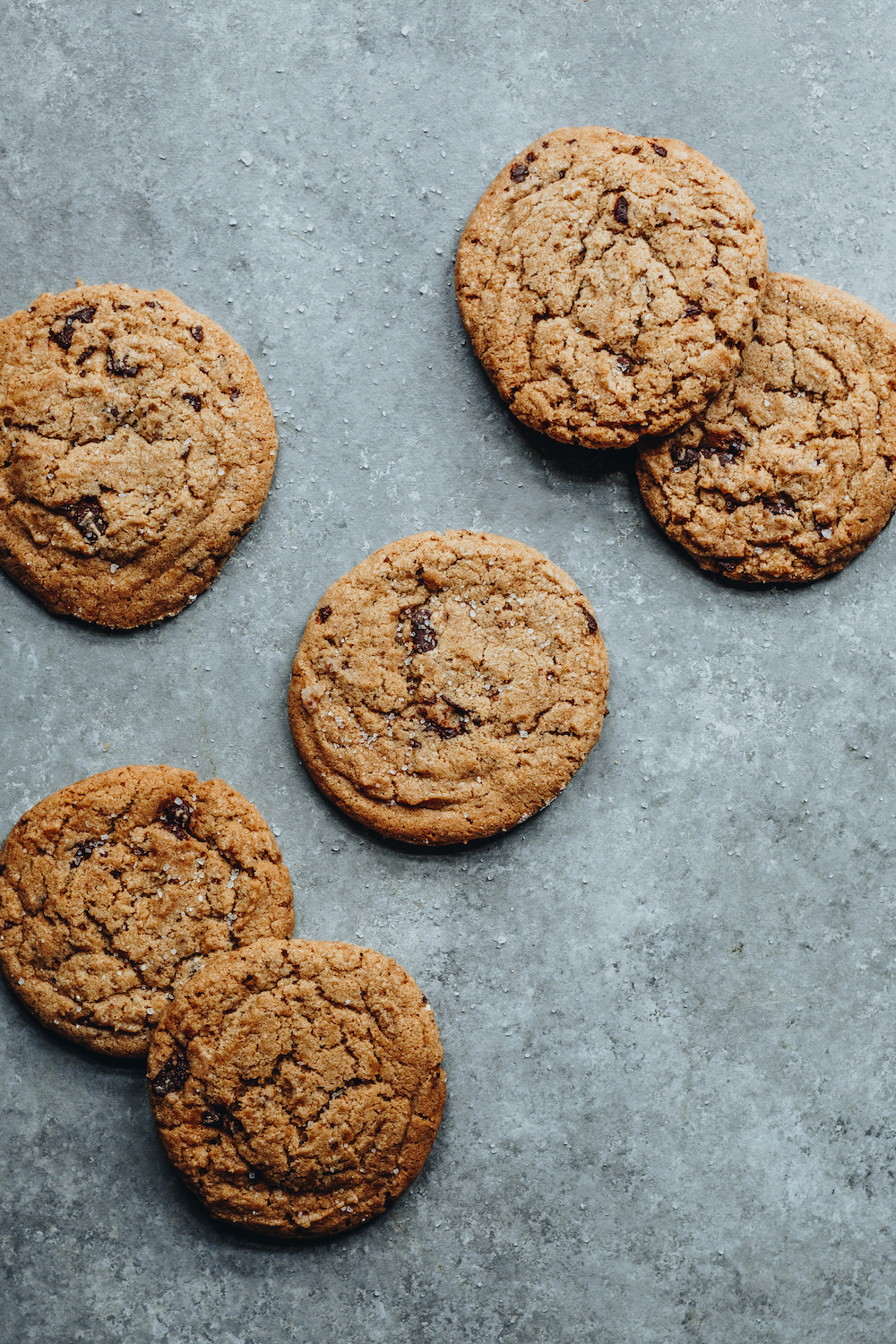 Chocolate Chip Cookie (Dozen)