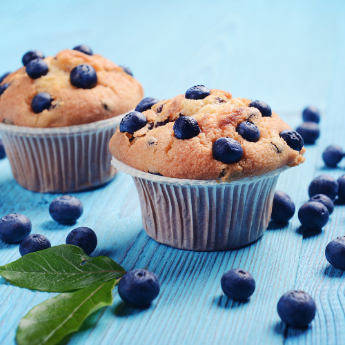 Quick Start (One of each per person).