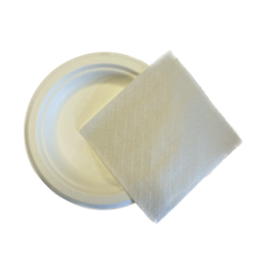 Compostable 6 inch plate and Cocktail Napkins (no utensils required)