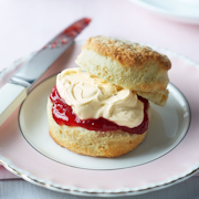 8 Scones (filled with jam and clotted cream)