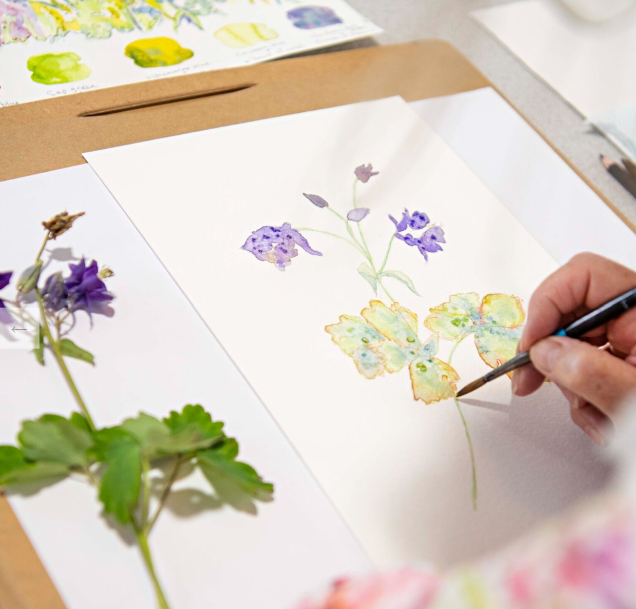 Painting workshop & lunch
